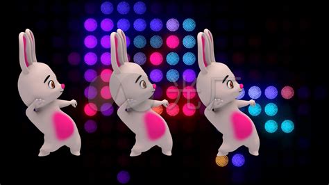 兔子 舞 舞蹈